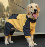Custom Pet Clothing Wholesale - Image 4
