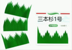 Dried Food Products - Image 4