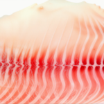Sashimi-Grade Frozen Tuna – Premium Yellowfin, Bulk Supply for Sushi Restaurants