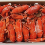 Global Exotic Seafood Collection – Sustainably Sourced, Sashimi-Grade