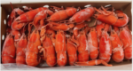 Global Exotic Seafood Collection – Sustainably Sourced, Sashimi-Grade