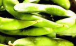 Fresh Vegetables - Image 2