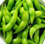 Fresh Vegetables