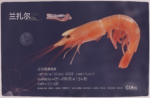 Shrimp - Image 4