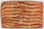 Shrimp - Image 5