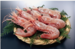 Shrimp - Image 6
