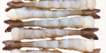 Shrimp - Image 9