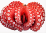 Squid and Octopus - Image 2