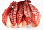 Squid and Octopus - Image 5