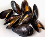 Shellfish – Fresh & Frozen Clams, Mussels, Oysters, Scallops - Image 2